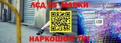 гидра Кингисепп