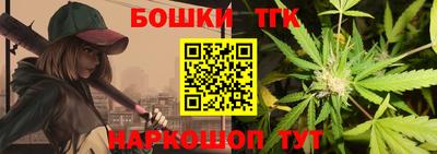 гидра Кингисепп