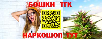 гидра Кингисепп