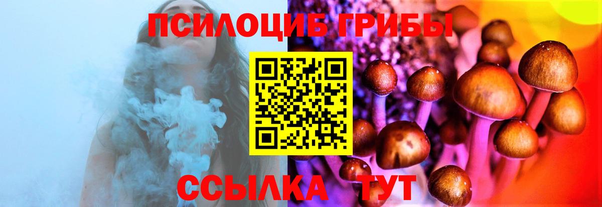 Галлюциногенные грибы прущие грибы Кубинка