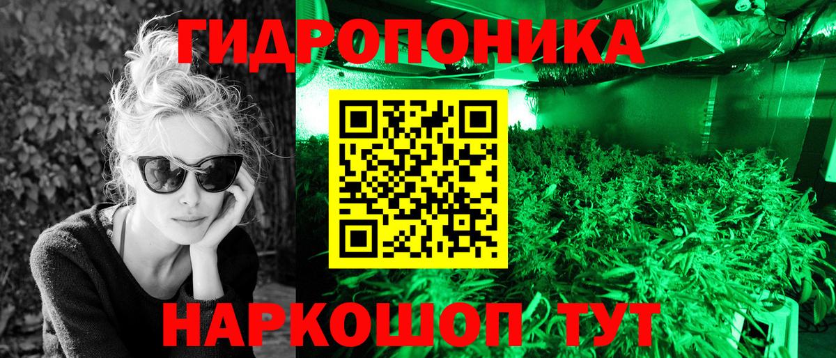 Шишки марихуана семена  Шишки марихуана Ganja  Марихуана план  Кубинка  Вход с VPN  МАРИХУАНА гибрид 